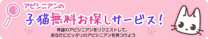 お探しサービス