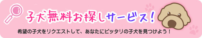 子犬無料お探しサービス