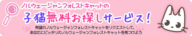 お探しサービス