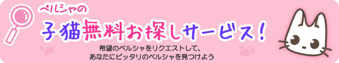 お探しサービス