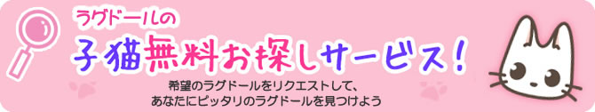 お探しサービス