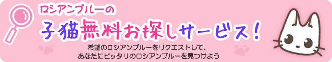 お探しサービス