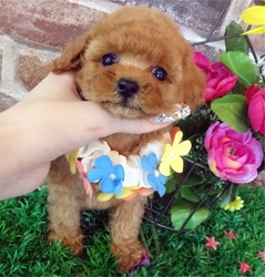 あの人気の子が登場💖