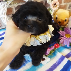丸いお目目がキュート💛