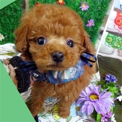 愛敬たっぷり!キュートな男の子♪