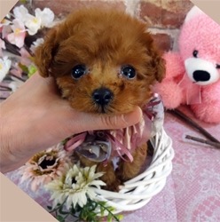 はなれ目、タレ目がチャームポイント!!