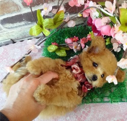 甘えん坊さん💛