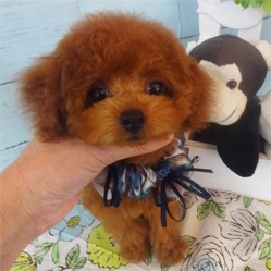 よっ、男前!ファンクラブに入会しま~す♡