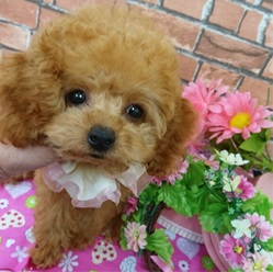 とっても美人さん♡