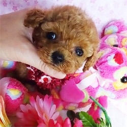 小さな小さな眠り姫♪