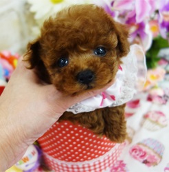 とっておき!! の別品ちゃん♡