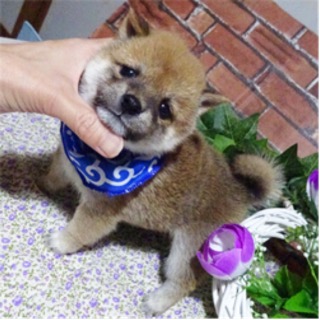 立ち姿もしっかり美しい