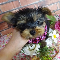 ズキュ??ン💕