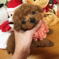 レディー感たっぷり!