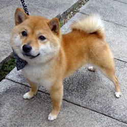 お父さん似かな!?