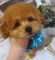 ねむ顔王子☆