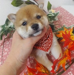 ぱっちりお目めの美人さん♪