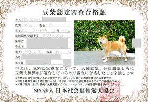 お母さん