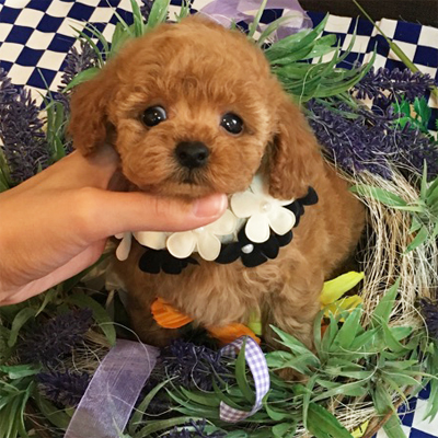 母性本能くすぐられちゃう♡