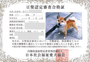 小さくてとても可愛いお父さん!