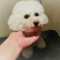 可愛いパパ