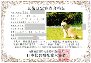 お母さん