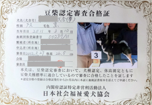 小ぶりサイズのお母さん