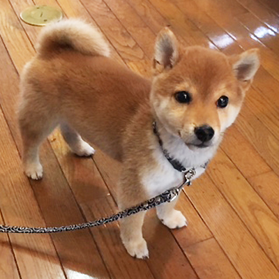 綺麗なお目目!
