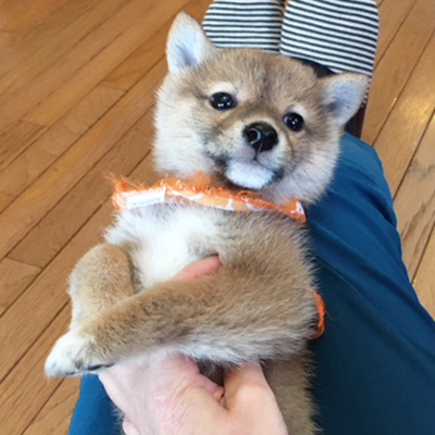 母性本能くすぐられちゃう♡