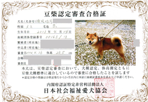 短足のお母さん
