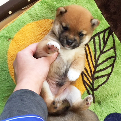 可愛すぎます♡