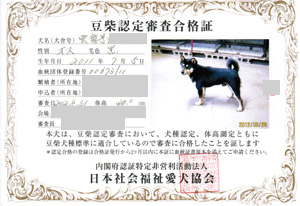 格好いいお父さん