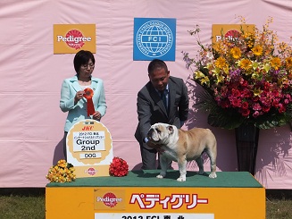 父犬:FCIインターナショナルビューティーチャンピオ