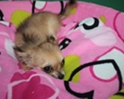 9月16日撮影