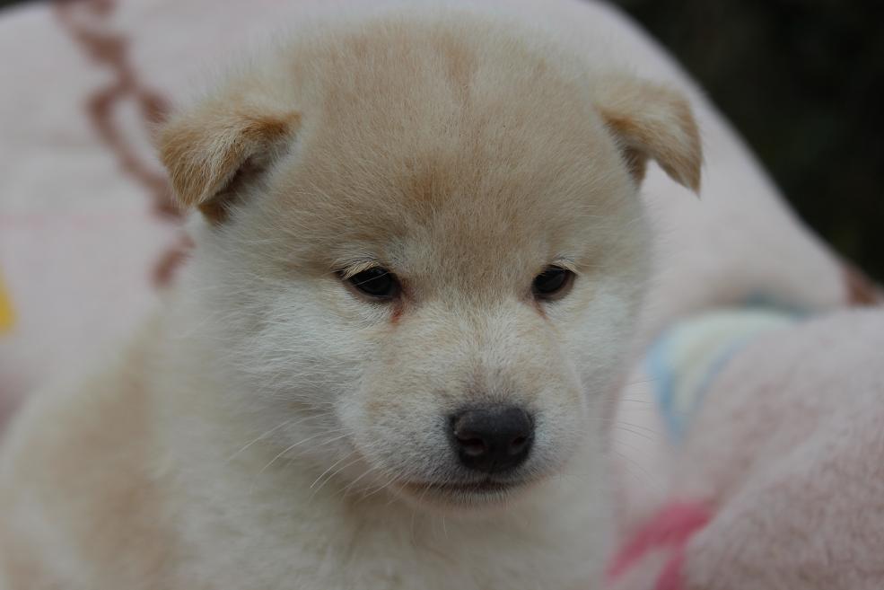 元気ものです