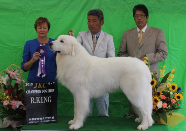 デビューショーでいきなりR/KING!!!