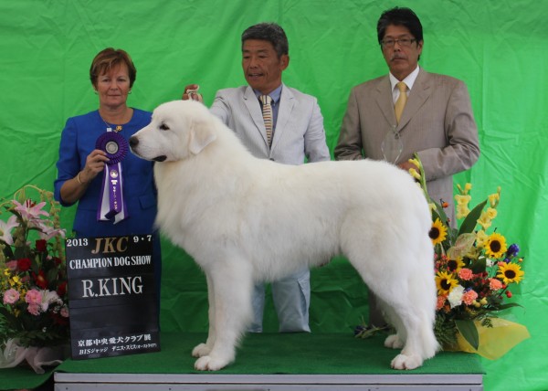 デビューショーでいきなりR/KING!!!受賞