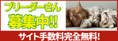 猫のブリーダーさん募集