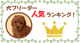 犬ブリーダーランキング