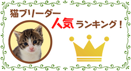猫ブリーダーランキング